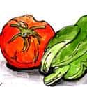 青菜 vegetable