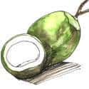 椰肉 coconut meat