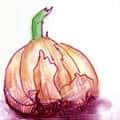 葱 scallion