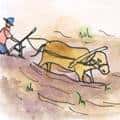 耕田 farming