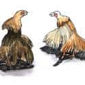 斗鸡 cockfighting