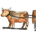 牛车 oxcart,bullock cart