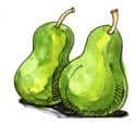 梨子 梨子 pear