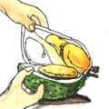 吃榴莲 eat durian