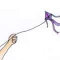 玩风筝 fly a kite