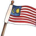 旗,旗子,旗帜,国旗 flag,banner