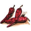 干辣椒 dried chili
