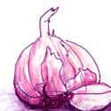 大葱 onion