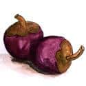 山竹 mangosteen