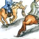 骑马 riding horse
