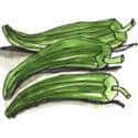 羊角豆 okra