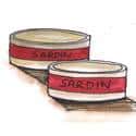 沙丁鱼 sardine can