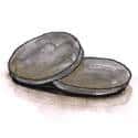 铜币 coin