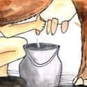 挤牛奶 milk the cows
