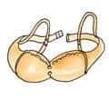 乳罩 bra