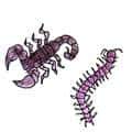 蝎子蜈蚣 scorpion and centipede