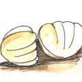 蚝,蚵仔 oyster