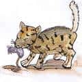 猫咬老鼠 cat catch mouse