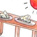 晒茨粉 drying starch