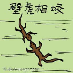 壁虎相咬 lizards fighting