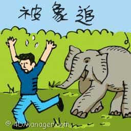 被象追 chased by an elephant