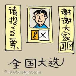 全国大选 national election