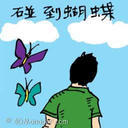碰到蝴蝶 butterfly