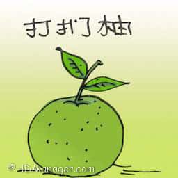 打扪抽 pomelo
