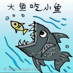 大鱼吃小鱼 fish hunting