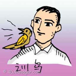 训鸟 bird training