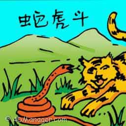 蛇虎斗 snake fight with tiger
