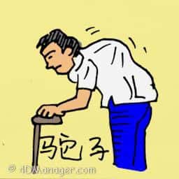 驼子 hunchback