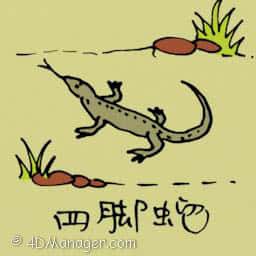 四脚蛇 lizard