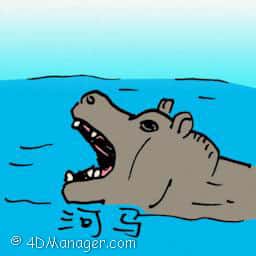 河马 hippopotamus