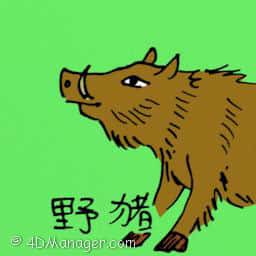 野猪 wild boar