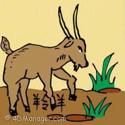 羚羊 antelope