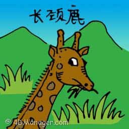 长颈鹿 giraffe