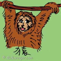 猿 ape