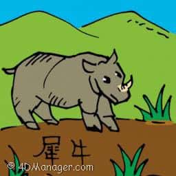 犀牛 rhinoceros