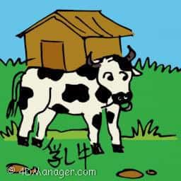 乳牛 milk cow