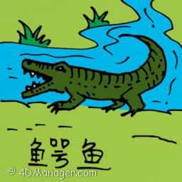 鳄鱼 crocodile