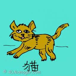 家猫 cat