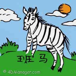 斑马 zebra