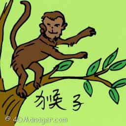 猴 monkey
