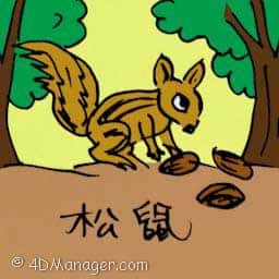 松鼠 squirrel