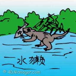 水獭 otter