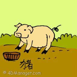  PIG