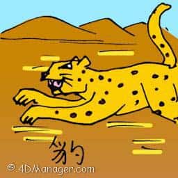 豹 leopard