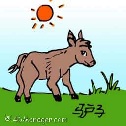 驴子 donkey