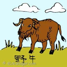 ?优?/td> wild ox